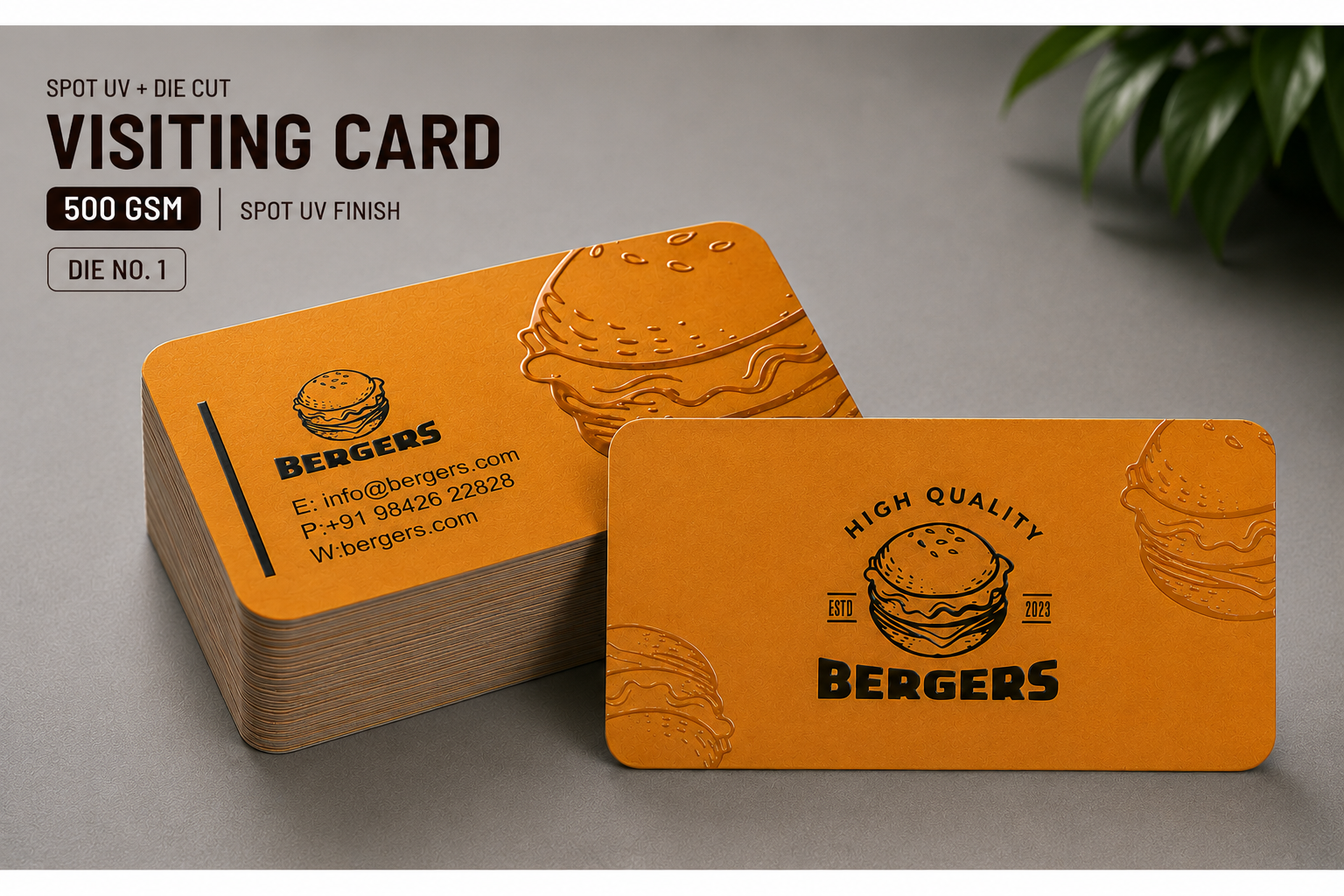 Matte Lamination Visiting Card DS